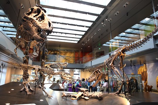Tour image 1
