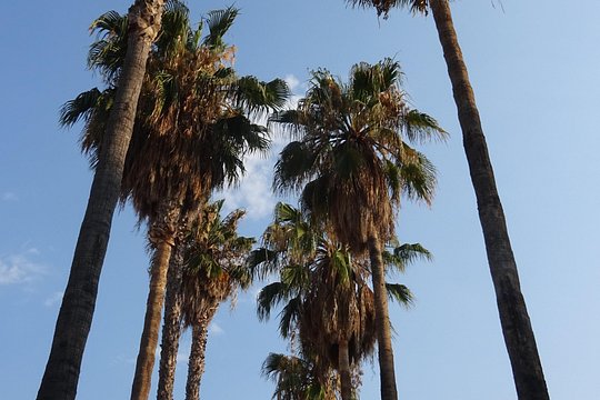 Tour image 13